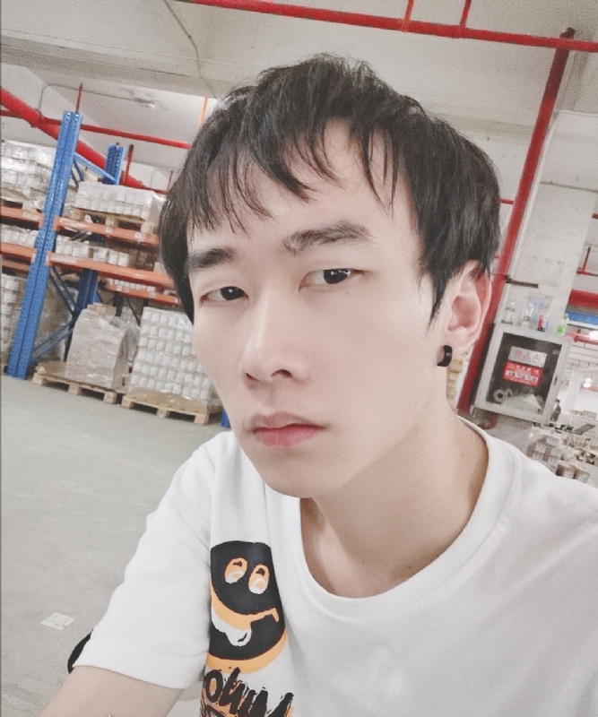 巷子里的猫的第一张照片--南靖相亲网