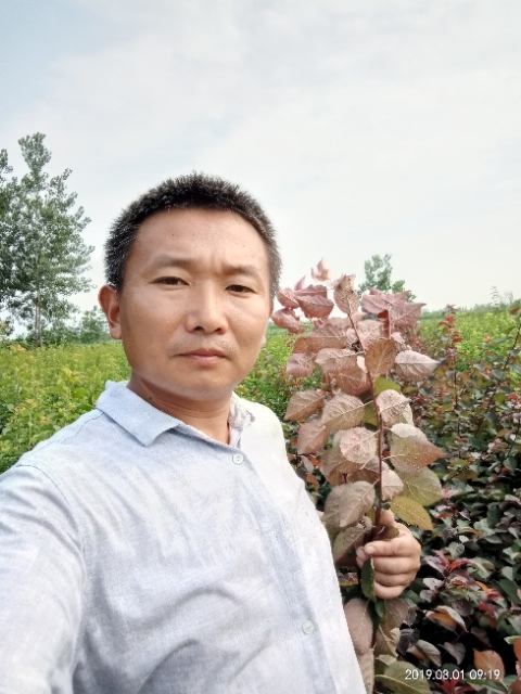 孩子爸的第一张照片--南靖相亲网