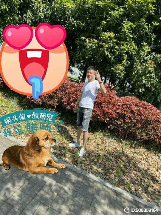 我若不坚强谁替我勇敢的第五张照片--南靖相亲网